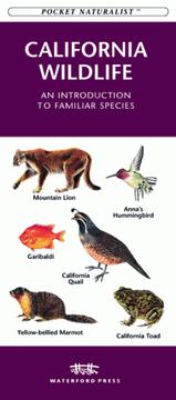 Cover of: California Wildlife: An Introduction to Familiar Species (Pocket Naturalist)