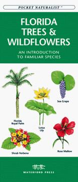 Cover of: Florida Trees & Wildflowers: An Introduction to Familiar Species (Pocket Naturalist)