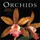 Cover of: Orchids 2002