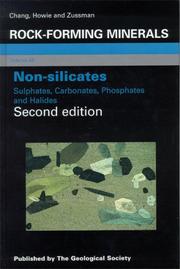 Cover of: Non-Silicates by L. L. Y. Chang, R. A. Howie, J. Zussman