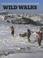 Cover of: Wild Walks