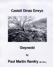 Cover of: Castell Dinas Emrys, Gwynedd by Paul Martin Remfry