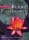 Cover of: Introduction to Plant Physiology