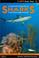 Cover of: Sharks of Florida, The Bahamas, The Caribbean & The Gulf of Mexico (In Depth Divers' Guide)