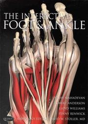 Cover of: The Interactive Foot & Ankle (CD-ROM for Windows)