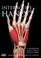 Cover of: Interactive Wrist - Radiology Edition