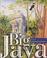 Cover of: Big Java