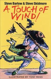 Cover of: A Touch of Wind (Mad Myths series)
