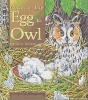 Cover of: Egg to Owl (Cycles of Life)