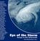 Cover of: Eye of the Storm --Essays in the Aftermath