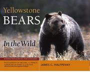 Cover of: Yellowstone Bears in the Wild