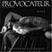 Cover of: Provocateur 2006 Calendar