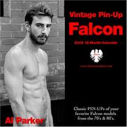 Cover of: Vintage Pin-Up Falcon (2006) Calendar