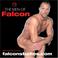 Cover of: 2006 Men of Falcon Calendar