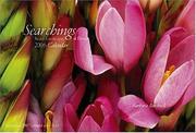 Cover of: Searchings by Barbara Bordnick, Barbara Bordnick