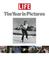Cover of: Life the Year in Pictures 2006 (Life the Year in Pictures)