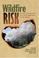 Cover of: Wildfire Risk