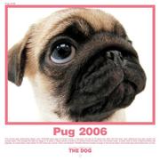Cover of: The Dog Pug (Artlist Collection) | 