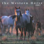 Cover of: 2007 Western Horse Calendar by David R. Stoecklein