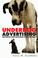 Cover of: Underdog Advertising