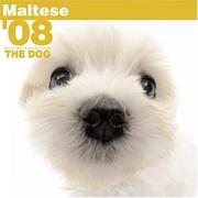 Cover of: Maltese 2008 Square Wall Calendar by BrownTrout Publishers