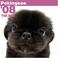 Cover of: Pekingese 2008 Square Wall Calendar