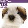 Cover of: Shih Tzu 2008 Square Wall Calendar