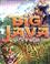 Cover of: Big Java