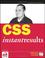 Cover of: CSS Instant Results (Programmer to Programmer)