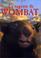 Cover of: La sagesse de Wombat
