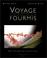 Cover of: Voyage chez les fourmis