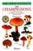 Cover of: Les champignons