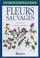 Cover of: Fleurs sauvages