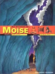 Cover of: Sur les traces de Moïse by Pierre Chavot, Jean-Michel Payet