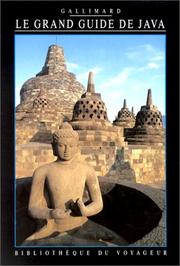 Cover of: Le Grand Guide de Java 1996
