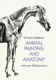 Cover of: Animal painting & anatomy