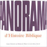 Panorama d'histoire biblique by Jacques Montjuvin