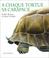 Cover of: A chaque tortue sa carapace