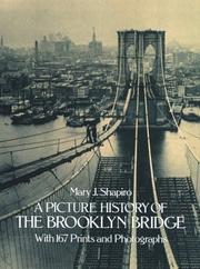Cover of: A picture history of the Brooklyn Bridge by Mary J. Shapiro