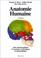 Cover of: Anatomie humaine: Atlas photographique de l'anatomie systématique et topographique 