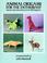 Cover of: Animal origami for the enthusiast