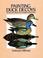 Cover of: Painting duck decoys