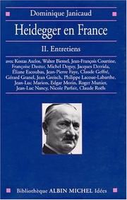 Cover of: Heidegger en France, tome 2 : Entretiens