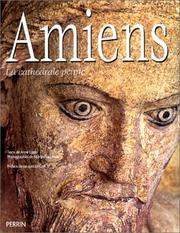 Cover of: Amiens, la cathédrale peinte by Fraudreau, Jean Delumeau, Anne Egger