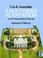 Cover of: Cut and Assemble a Southern Plantation (Cut & Assemble Buildings in H-O Scale)