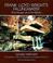 Cover of: Frank Lloyd Wright's Fallingwater