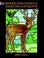 Cover of: Woodland Animals Stained Glass Coloring Book