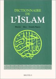 Cover of: Dictionnaire de l'Islam  by Théodore Khoury