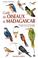 Cover of: Guide des oiseaux de Madagascar