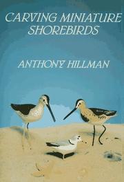 Carving miniature shorebirds by Anthony Hillman